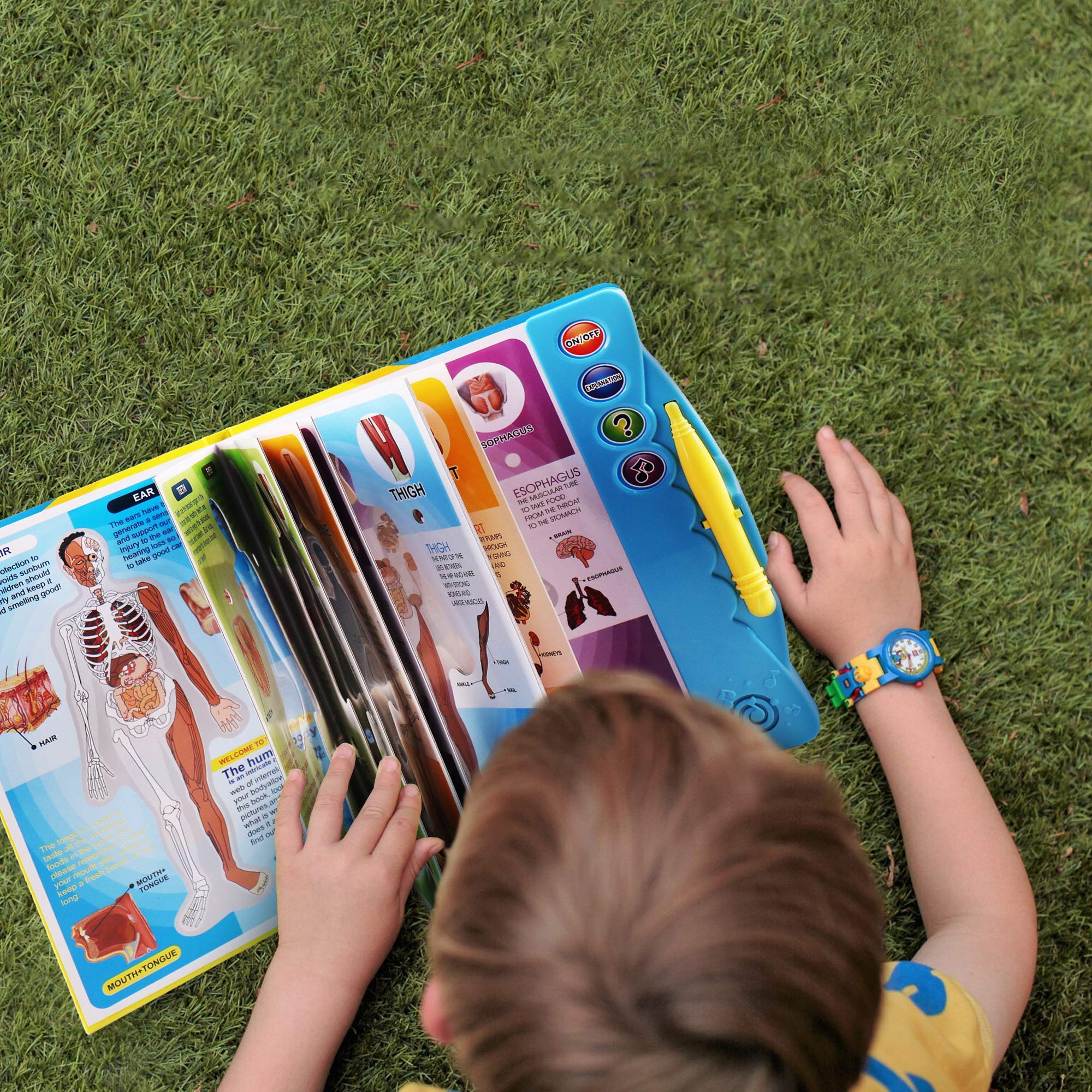 Boxiki Kids Human Body Book - Educational Science Activity Book for Ages 3+ | Perfect for Homeschool Learning & Preschool STEM Toys