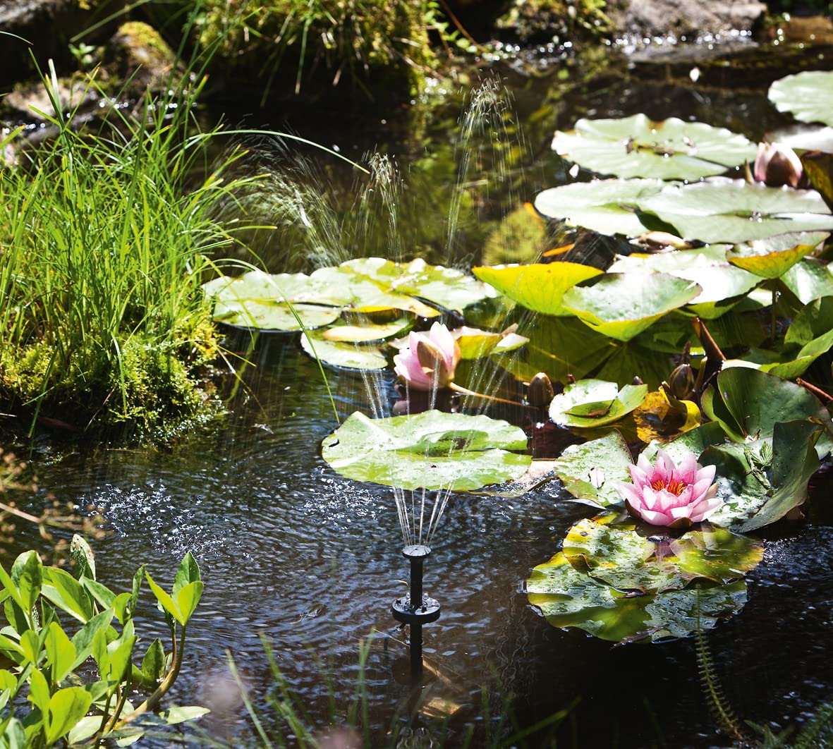 ASC Solar Water Pump Kit - 1.6W Battery Powered with Timer & LED Lights for Fountains, Pools, and Ponds | Perfect for Garden Decor, Backyard Water Features, and Outdoor Aquatic Displays