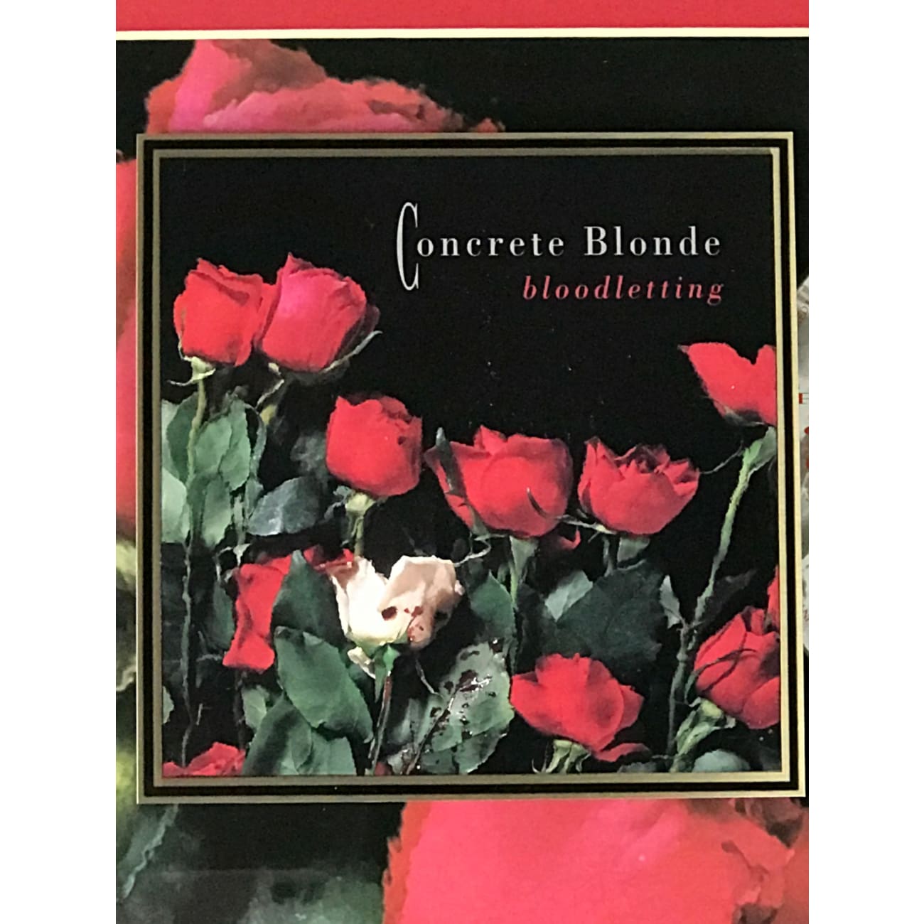 Concrete Blonde Bloodletting RIAA Gold Album Award - Certified Music Collectible for Fans & Display
