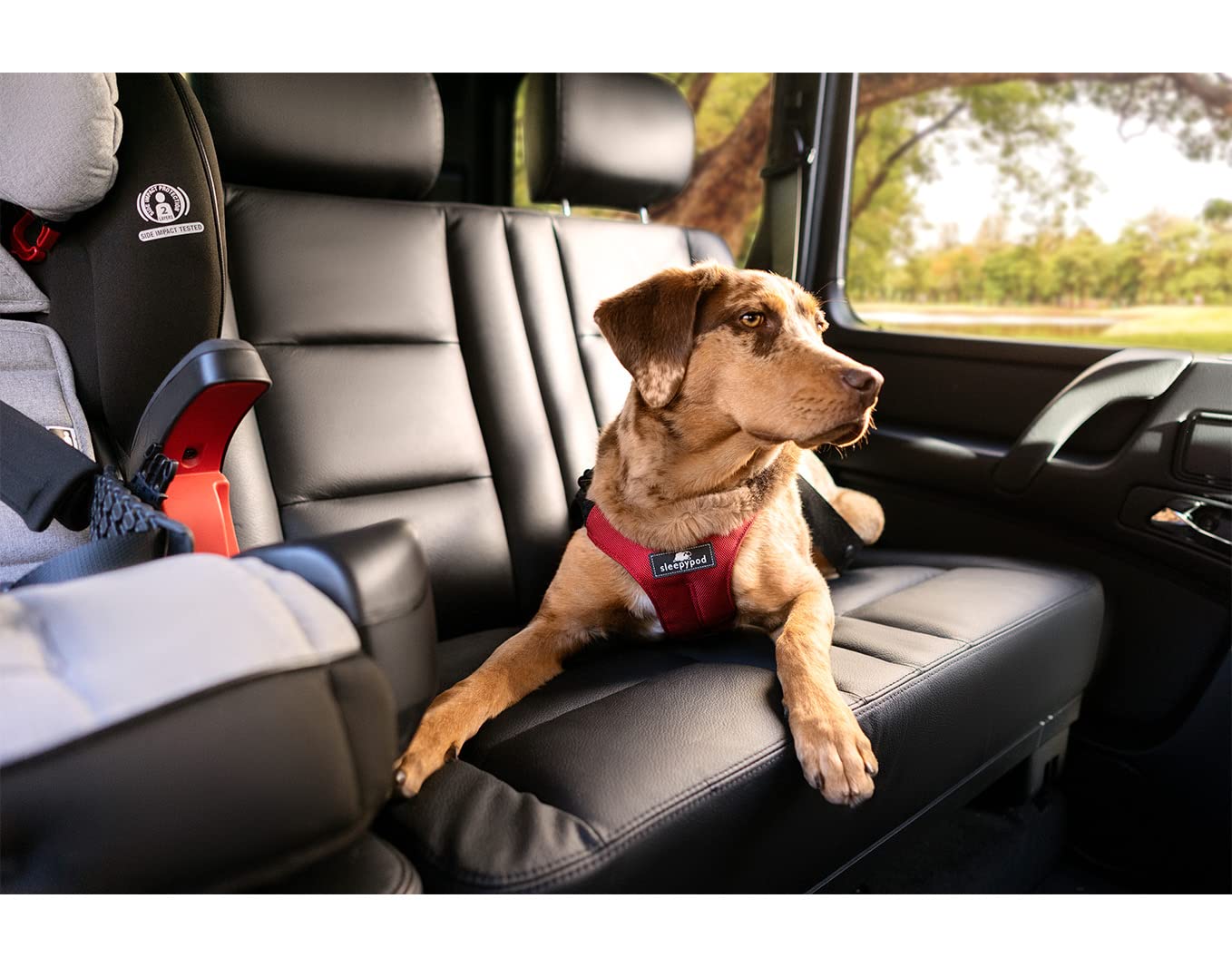 Clickit Sport Plus - Crash-Tested & Safety Certified Dog Car Seat Belt Harness for Medium Dogs (Olive Green) - Secure Pet Travel for Road Trips & Daily Commutes