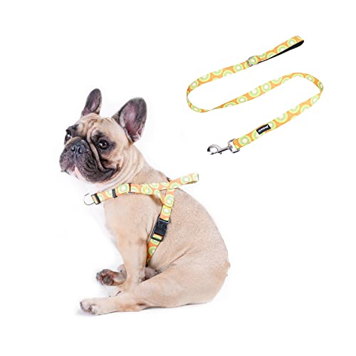 Kiwi Fruit Harness with Leash