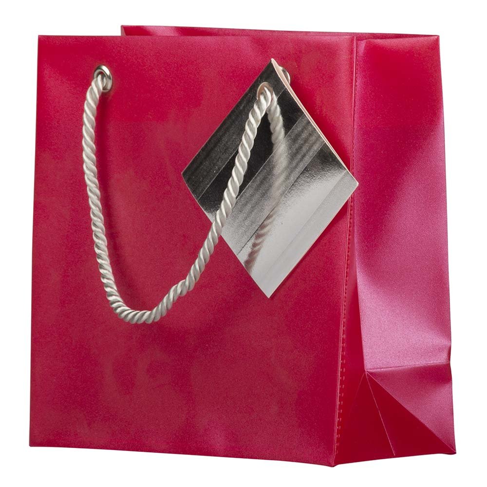 JAM Paper Mini Opaque Shopping Bags 5.75