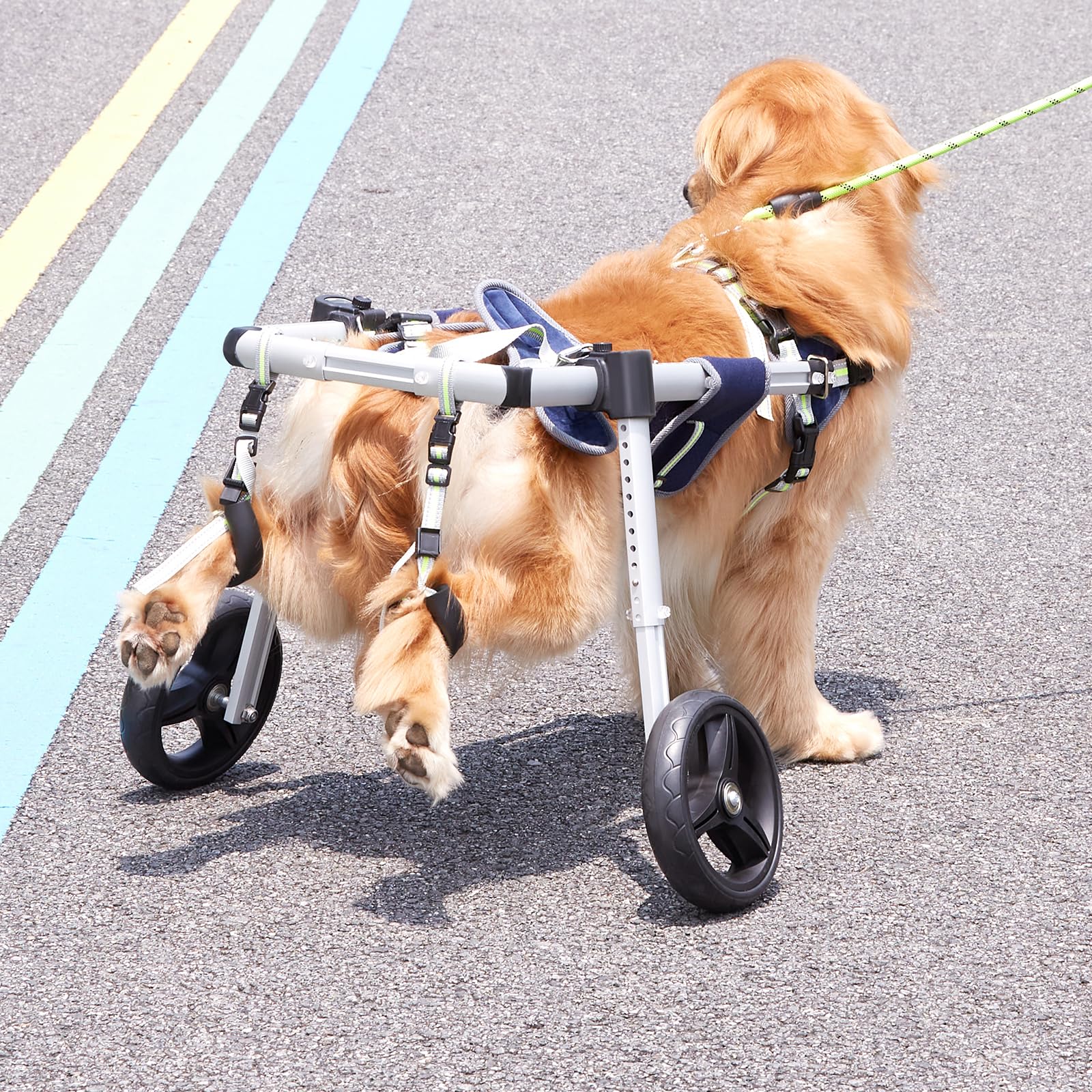 VEVOR 2-Wheel Dog Wheelchair for Back Legs - Adjustable Lightweight Pet Mobility Aid for Injured, Disabled, or Paralyzed Dogs with Hind Limb Weakness (Medium Size) | Perfect for Rehabilitation, Daily Walks & Improved Quality of Life