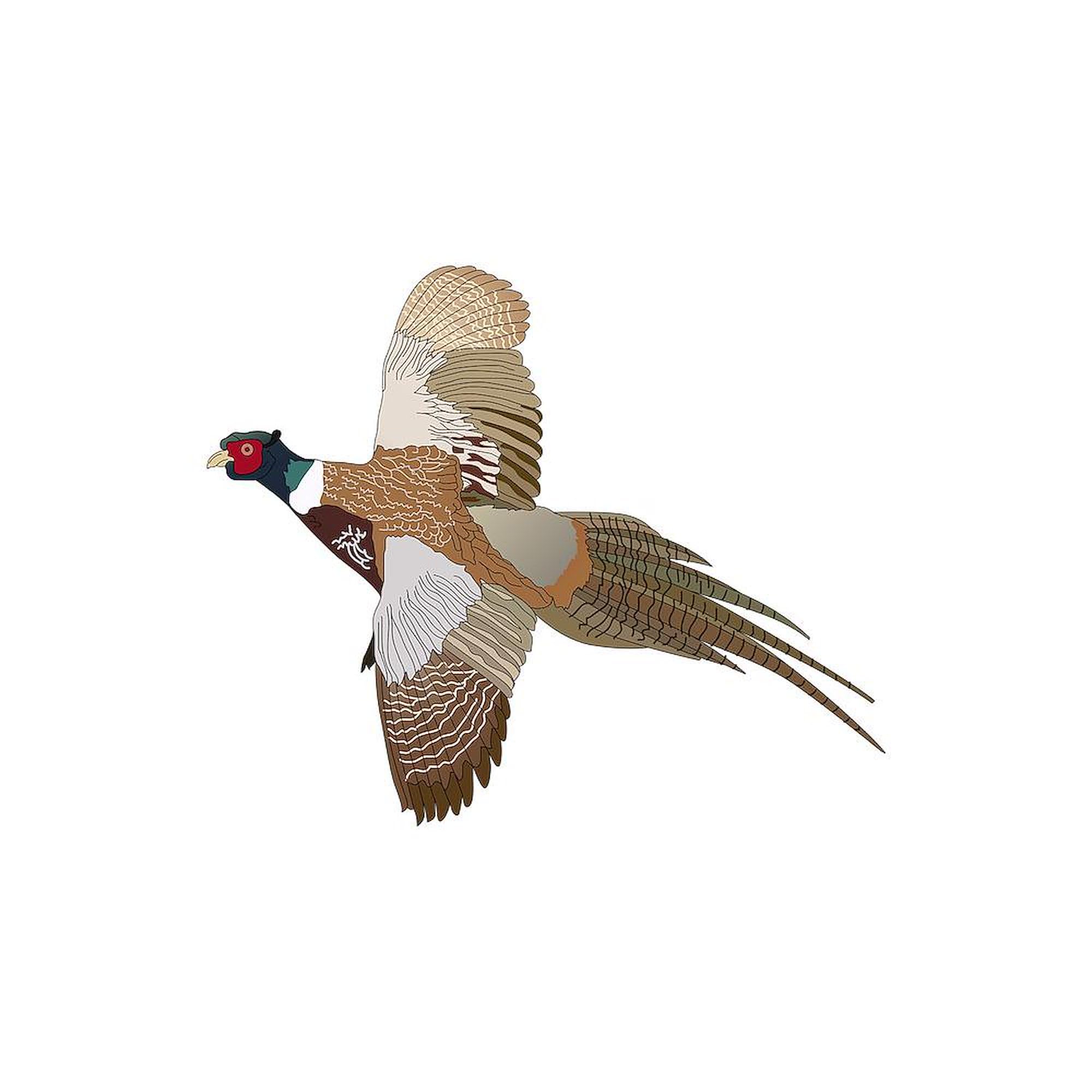 PHEASANT 20 oz Ceramic Coffee Mega Mug - Large Insulated Coffee Cup for Home, Office & Outdoor Use - Perfect for Tea, Hot Chocolate & Soups