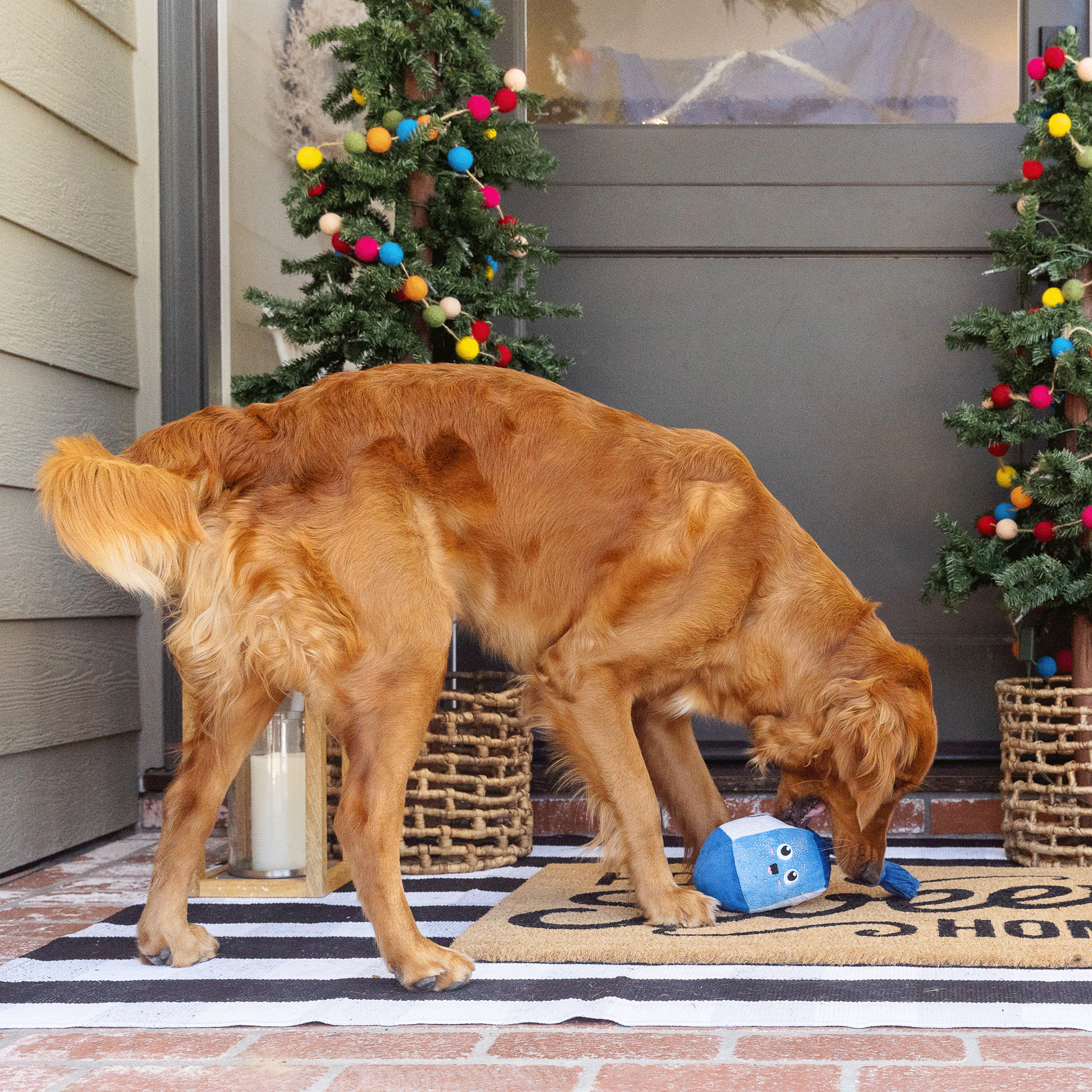 Blue & White Fringe Dog Toy - Interactive Spinning Chew Toy for Small & Large Dogs - Perfect for Playtime, Training & Indoor/Outdoor Fun