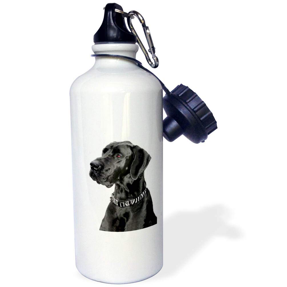 3D Black Great Dane Sports Water Bottle - 21 oz Insulated Stainless Steel White - Perfect for Gym, Hiking & Outdoor Activities