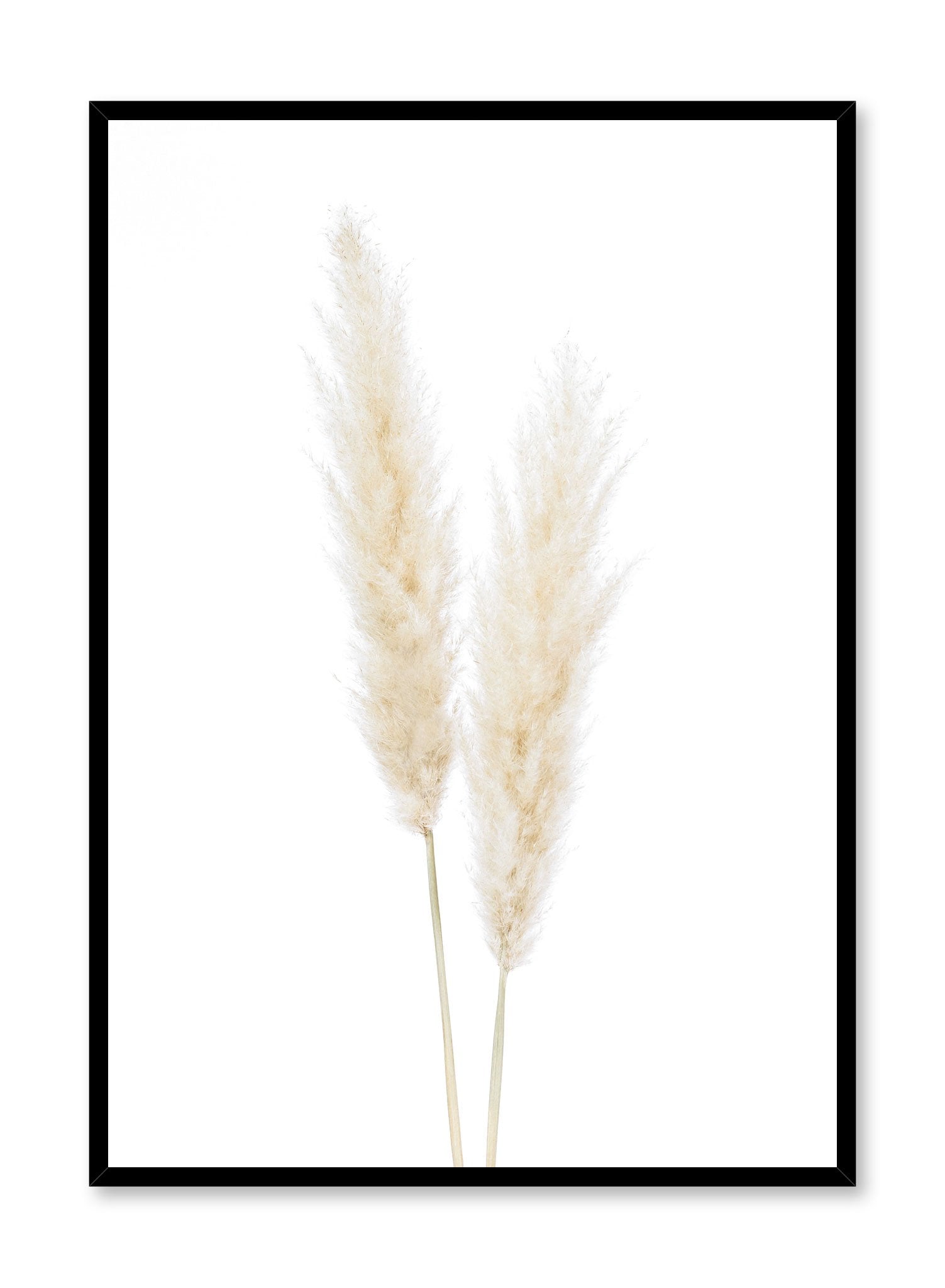 Premium Grass Species Poster - Educational Botanical Wall Art for Home, Office & Classroom Decor | Perfect for Nature Lovers & Plant Enthusiasts