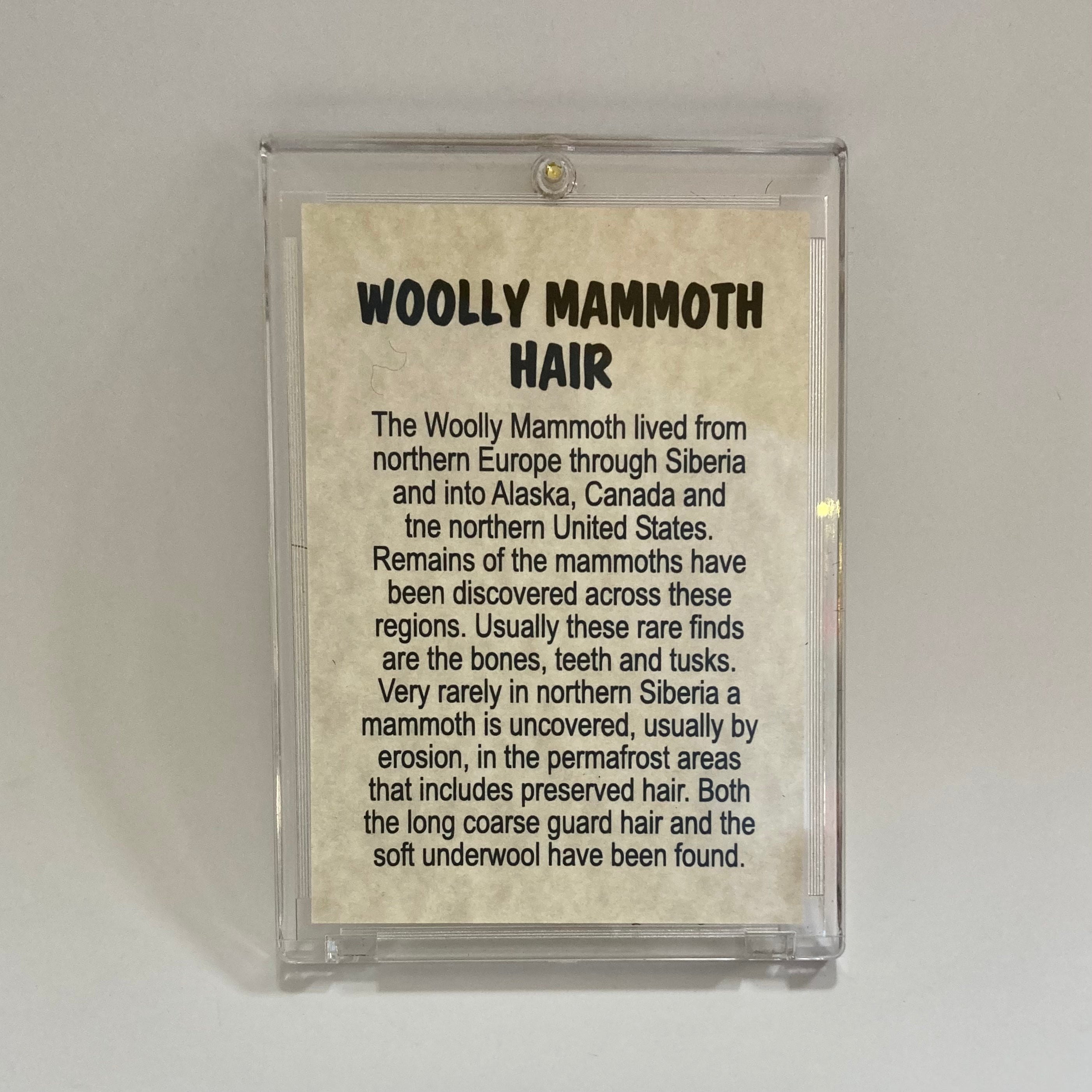 Premium Mammoth Hair Extensions for Thick & Long Hair - Natural Look for Daily Wear & Special Occasions