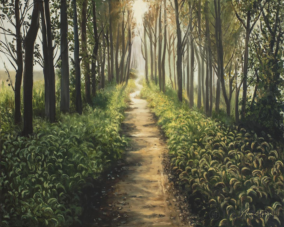 Forest Walkway - Beautiful Wooden Pathway for Gardens, Parks & Trails | Perfect for Outdoor Decor & Nature Walks