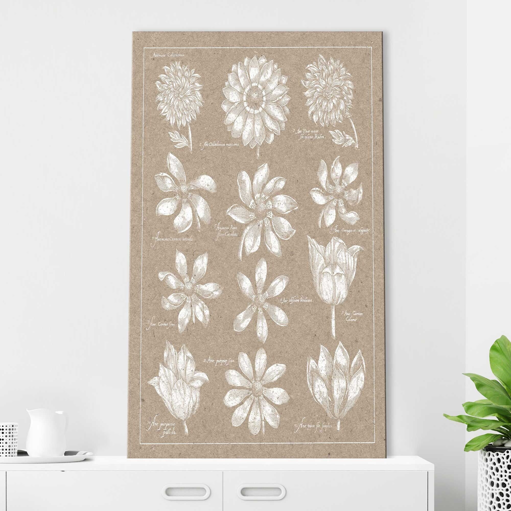 Anemone Plate II Vertical Canvas Print - Stunning Floral Wall Art for Living Room, Bedroom & Office Decor