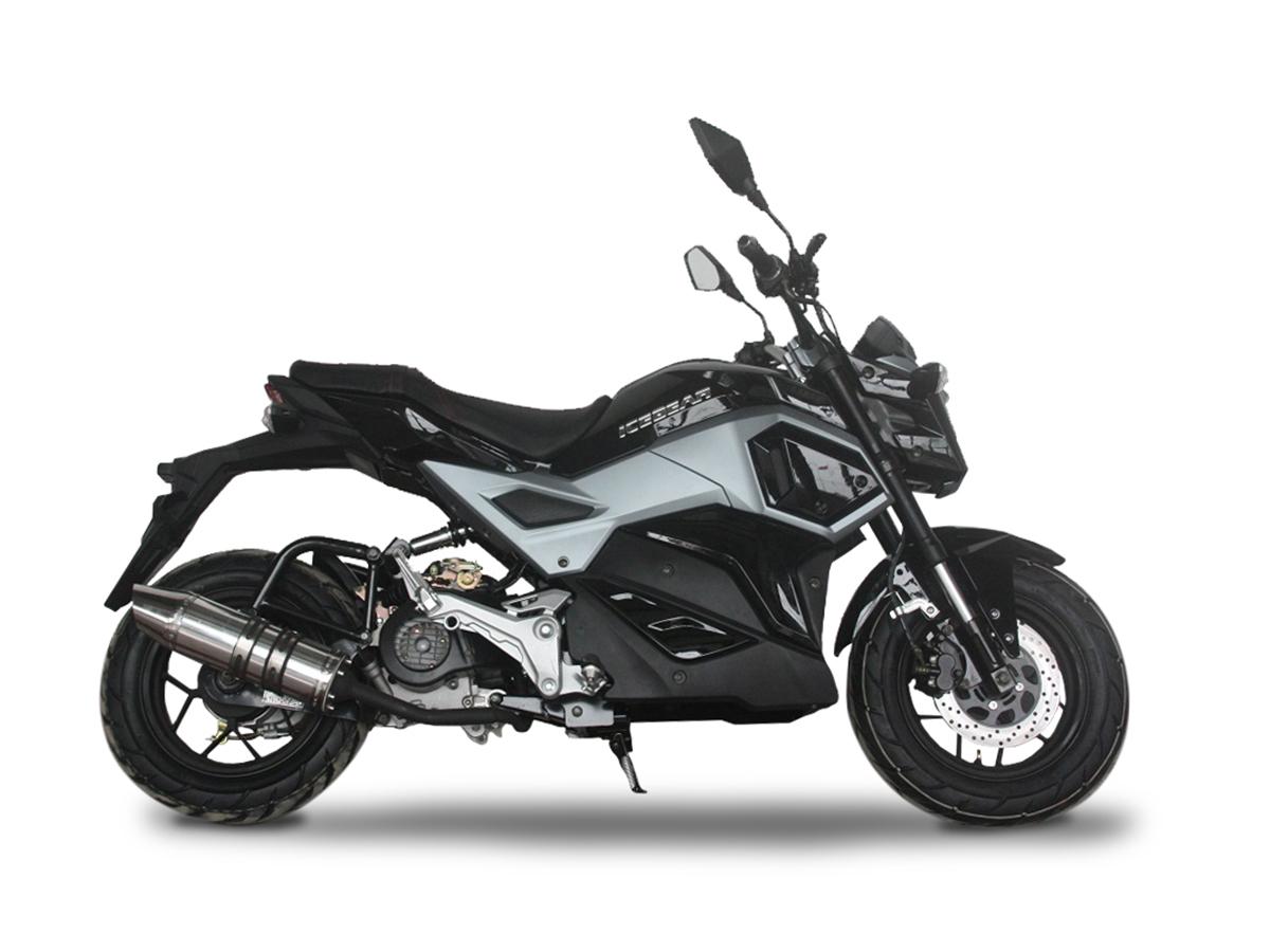 Venom Mini Max 50cc Automatic Motorcycle - Lightweight & Fuel Efficient for Commuting, Campus Riding & Urban Transportation