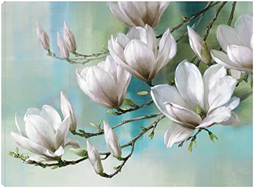 Magnolia Morning Teal