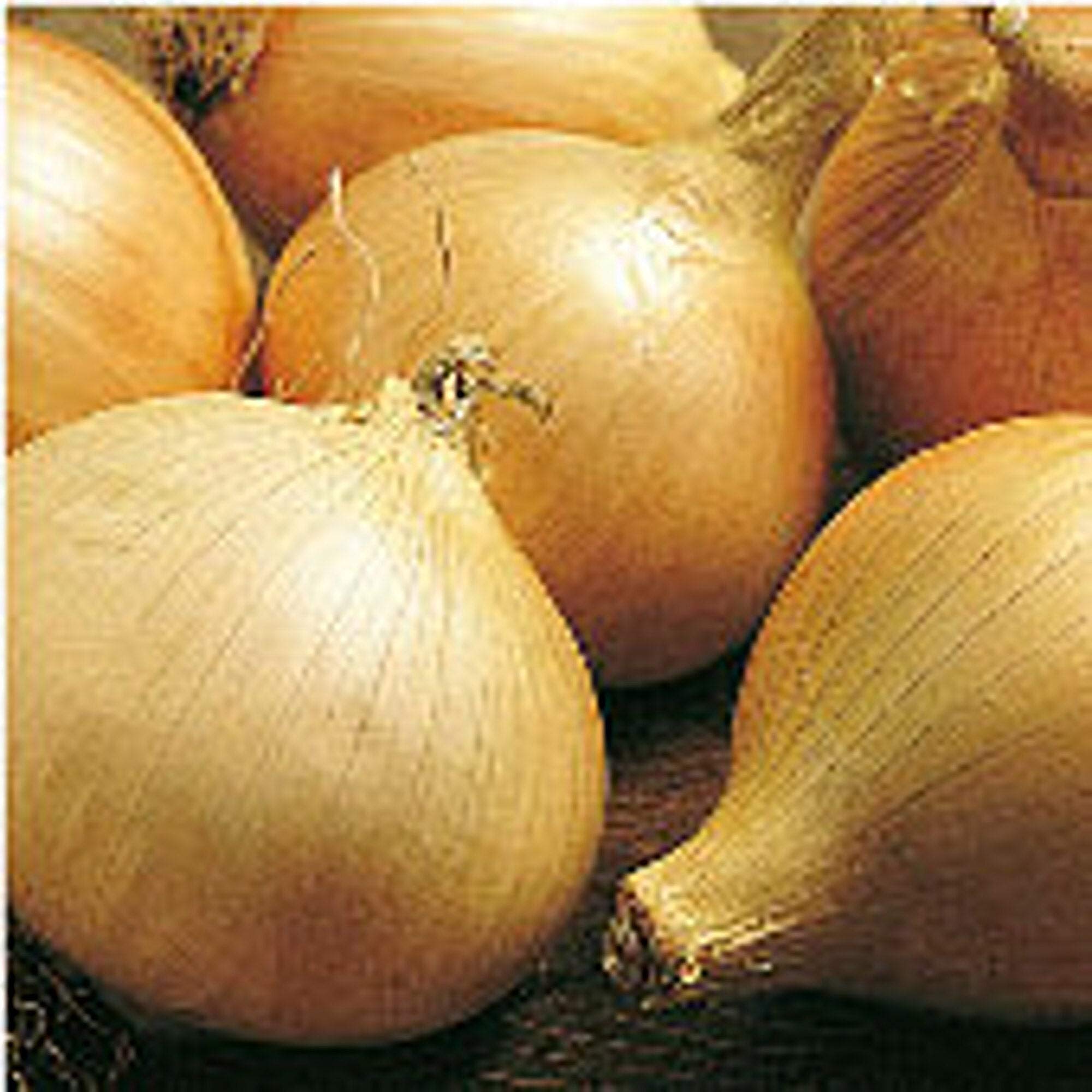 Premium Walla Walla Sweet Onion Seeds (25+ Seeds) - Non-GMO, Heirloom Variety for Home Gardening, Fresh Salads & Gourmet Cooking