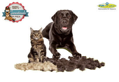 Furminator Cat Brush for Short Hair Cats - Deshedding Tool for Grooming & Reducing Shedding - Perfect for Home Pet Care & Professional Use