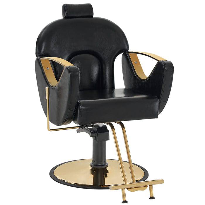 Gabriel Barber Chair - Professional Adjustable Salon Styling Chair for Hairdressers & Barbers - Perfect for Home & Salon Use