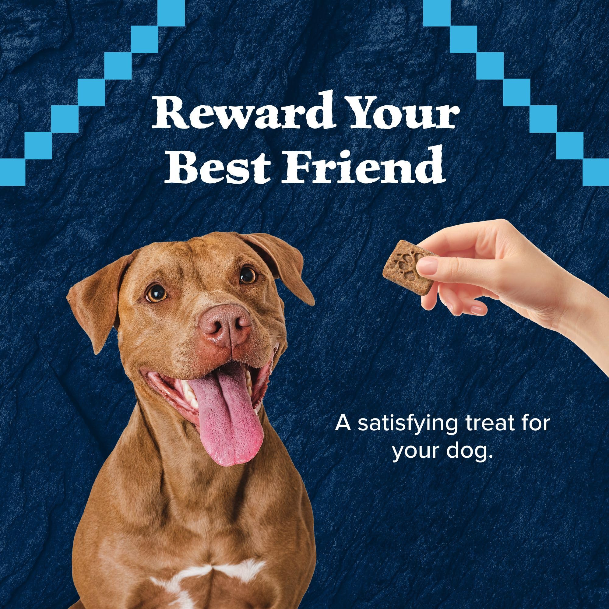 Blue Buffalo Wilderness Trail Treats Crunchy Grain-Free Dog Biscuits - High Protein Natural Salmon Recipe Dog Treats (24oz Bag) - Perfect for Training, Rewards & Outdoor Adventures