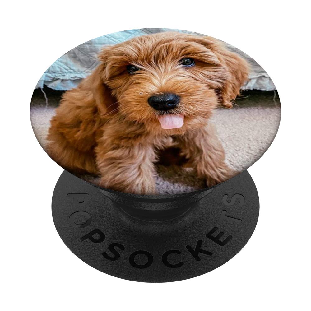 Waffle the Goldendoodle Puppy PopSockets PopGrip - Interchangeable Phone & Tablet Grip for iPhone, Samsung | Cute Dog Accessory for Pet Lovers, Perfect for Selfies, Travel & Everyday Use