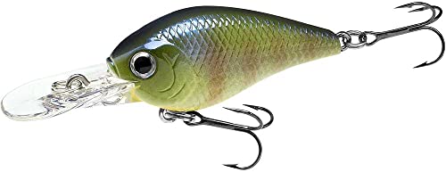269 BE Gill