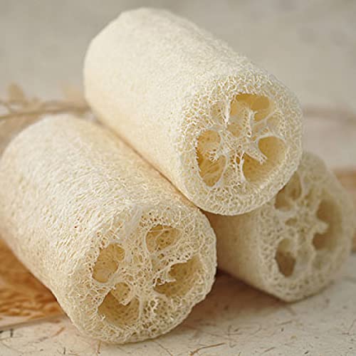 Organic Non-GMO Dishrag Gourd Seeds - Smooth Luffa Sponge for Exfoliating & Cleaning | Heirloom Vegetable Seeds for Planting | Perfect for Gardeners, DIY Beauty & Eco-Friendly Home Use