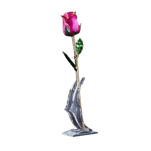 Celebration Rose