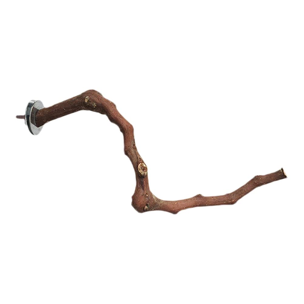TEHAUX Natural Wood Bird Play Stand - Training Toy for Parrots, Budgies & Small Birds | Cage Accessories, Grape Wood Grinding Stick & Perch for Chewing & Playing | Perfect for Bird Exercise & Beak Trimming