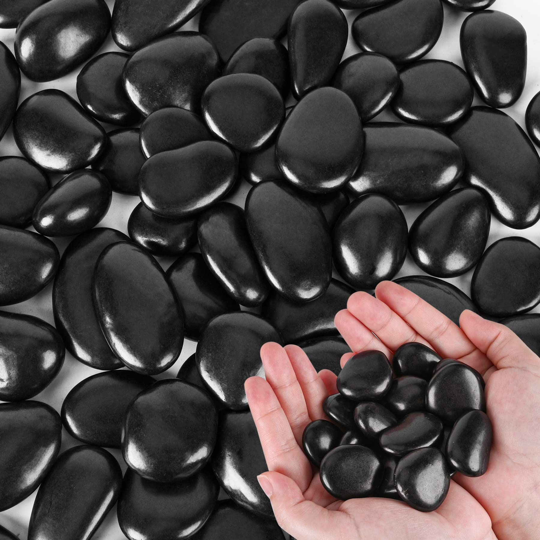 Black River Rocks for Plants - 5.5 LB Small Decorative Pebbles (1