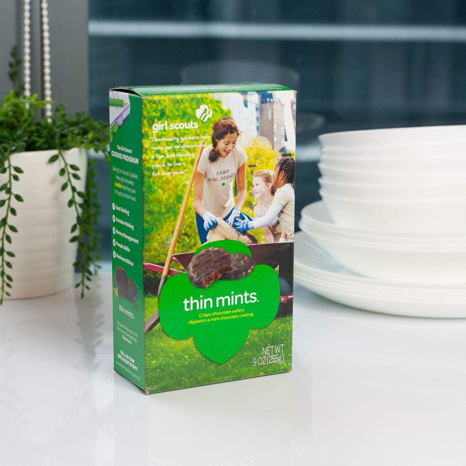 Girl Scout Thin Mints Cookies - 32 Count Box | Classic Chocolate Mint Cookies for Parties, Gifts & Snacking
