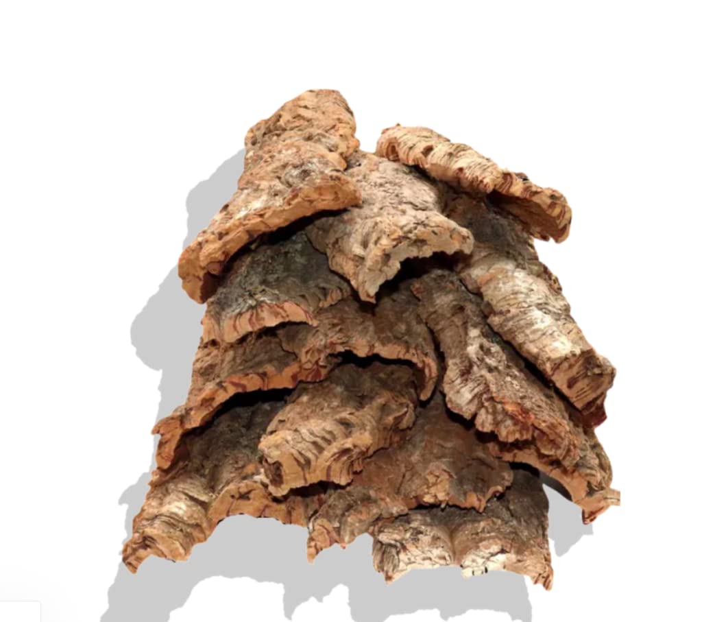 Premium Bulk Cork Bark Flats - Natural & Eco-Friendly (20 lbs) - Perfect for Reptile Habitats, Terrariums, and DIY Craft Projects