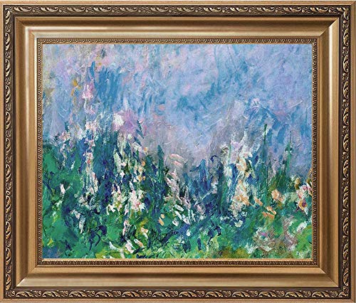 Lavender Fields