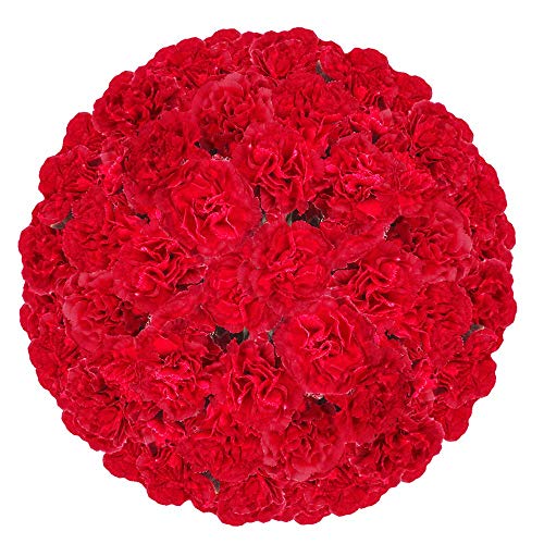 GlobalRose 100 Stems Fresh Cut Red Spray Carnations | 400 Blooms | Valentine's Day Flowers | Perfect for Wedding Bouquets, Anniversary Gifts & Home Decor