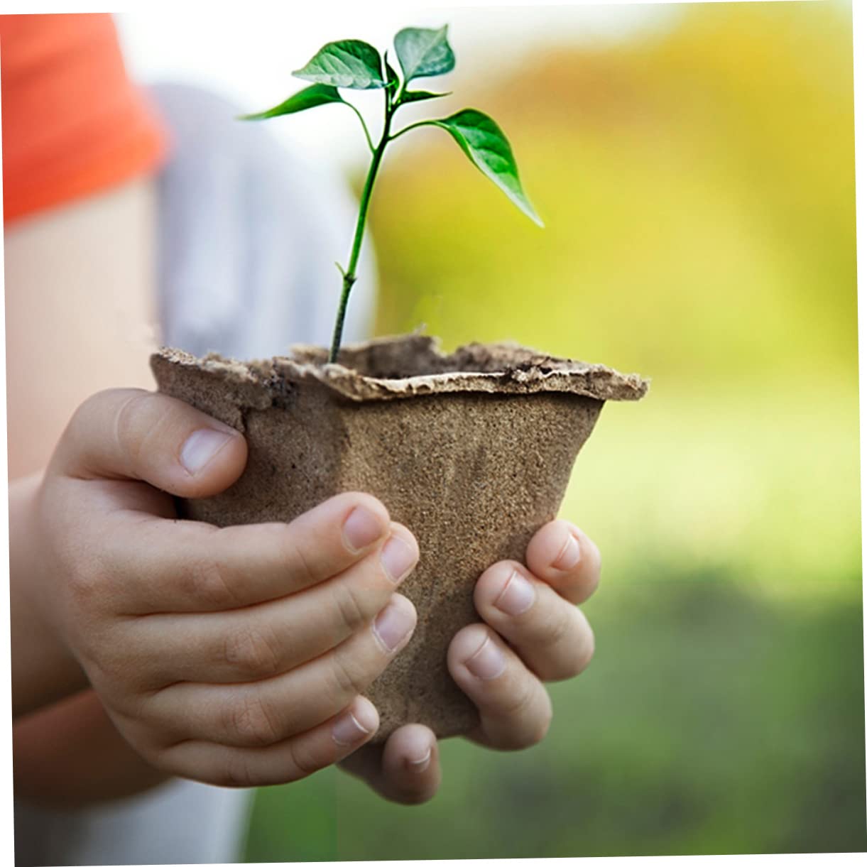 Balacoo 3 Sets Biodegradable Paper Flower Pots - Nursery Seed Starter Cups, Eco-Friendly Plant Trays for Home Gardening, Seedlings & Indoor Plants | Perfect for DIY Gardening, Home Decor & Sustainable Planting