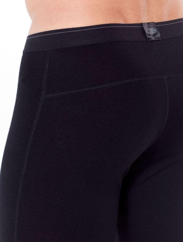 Icebreaker 260 Tech Legging with Fly - Men's Performance Base Layer for Hiking, Running & Cold Weather Activities