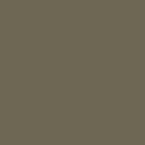 4.0 - Olive