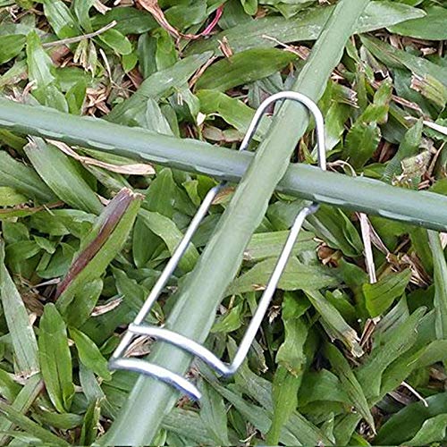 30Pcs Stainless Steel Spring Clips for Plant Support - 11mm Garden Greenhouse Fixing Clamps | Durable Wire Clips for Vine, Tomato & Flower Stems