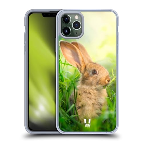 Little Easter Rabbit