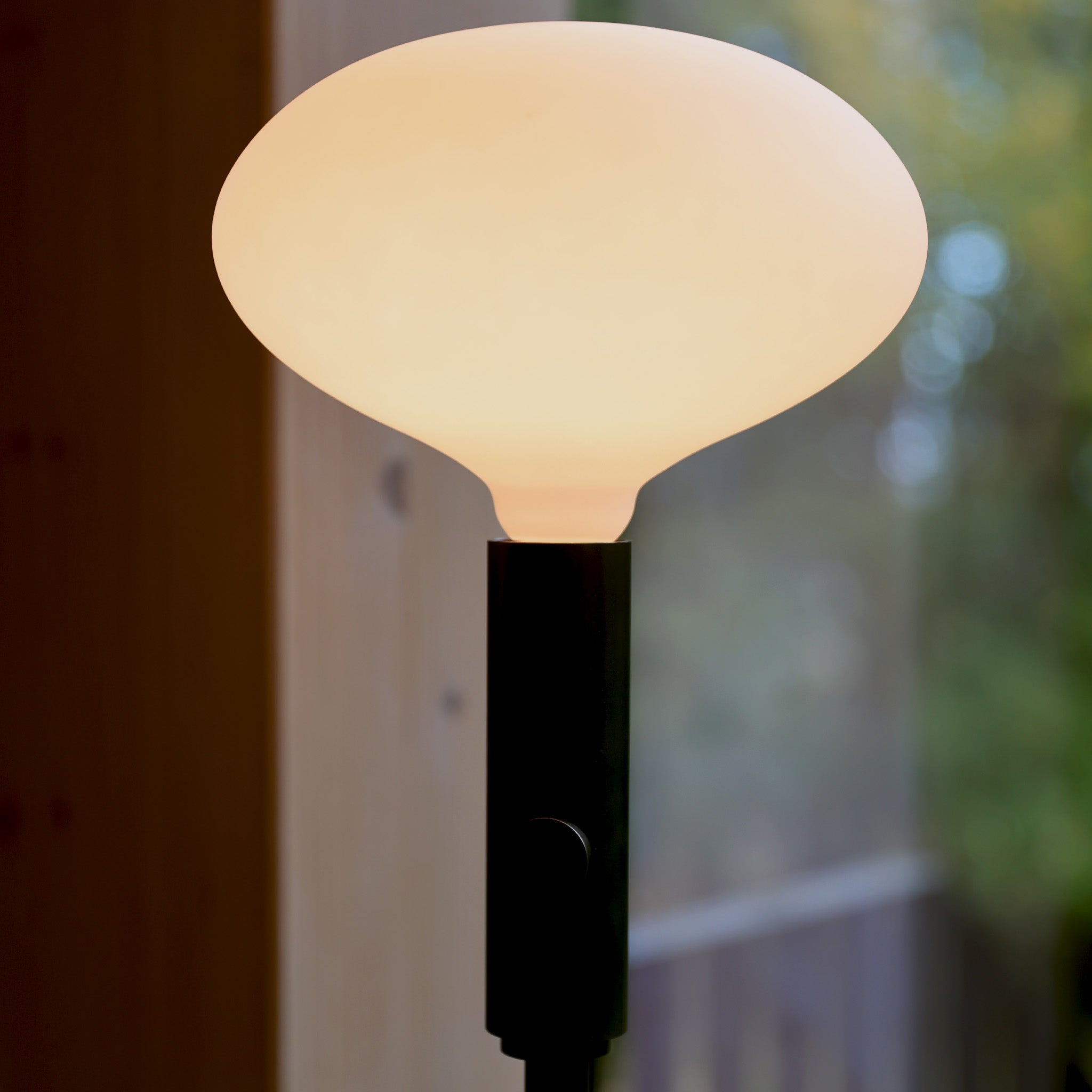 Energy Efficient Oval II E26 LED Light Bulb - 10W (60W Equivalent), Warm White 2700K, Dimmable, for Home, Office, and Commercial Lighting