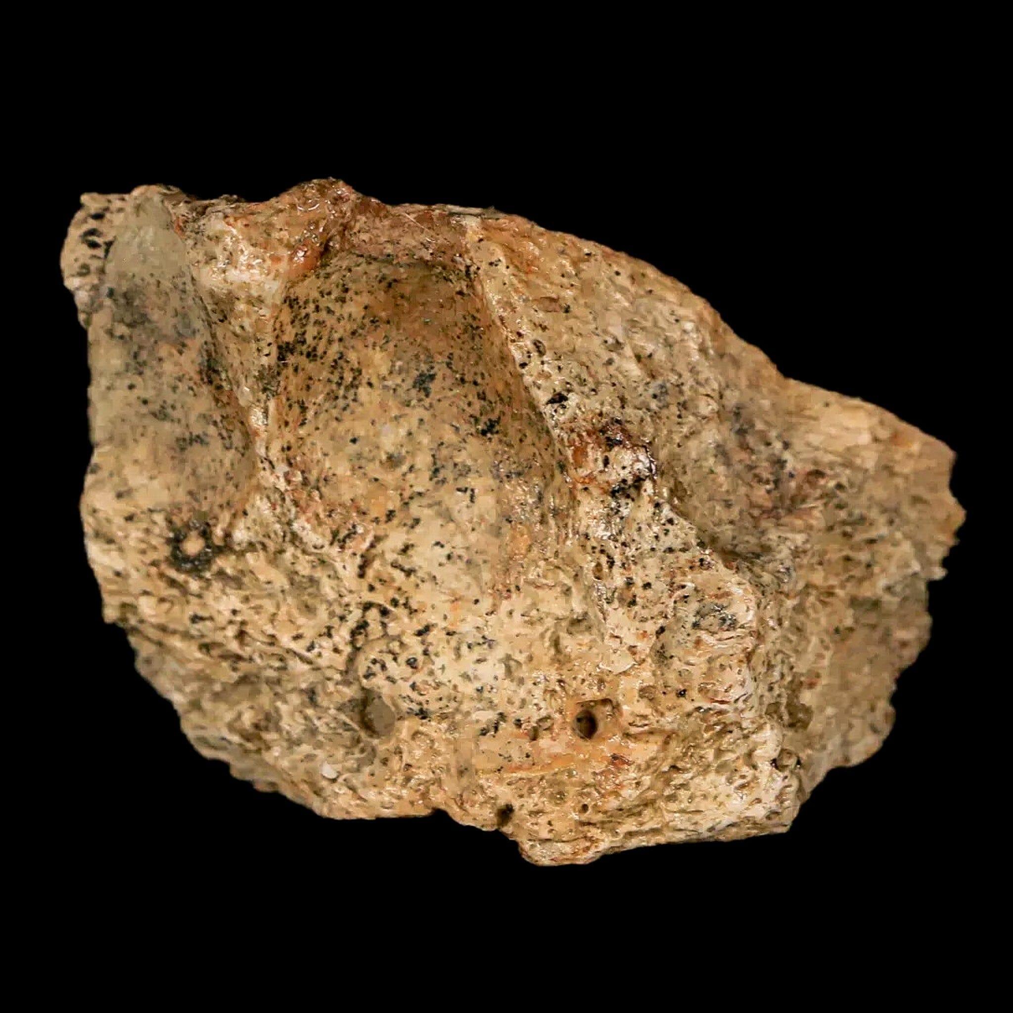 1.7