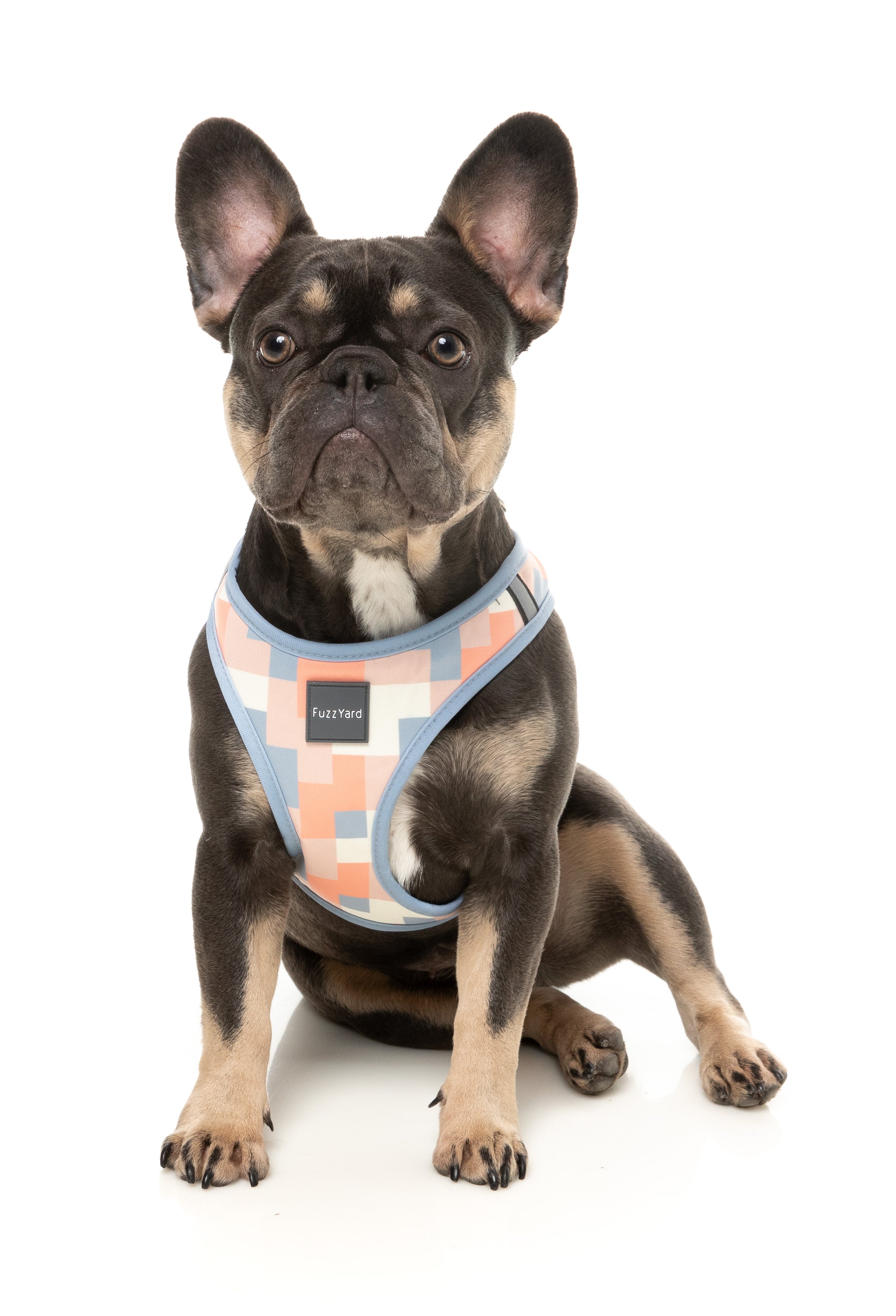 FuzzYard YAZD Dog Step In Harness - Adjustable No-Pull Pet Vest for Small & Medium Dogs - Perfect for Walking, Training & Outdoor Adventures
