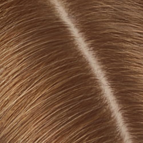6.5A Lightest Cool Brown
