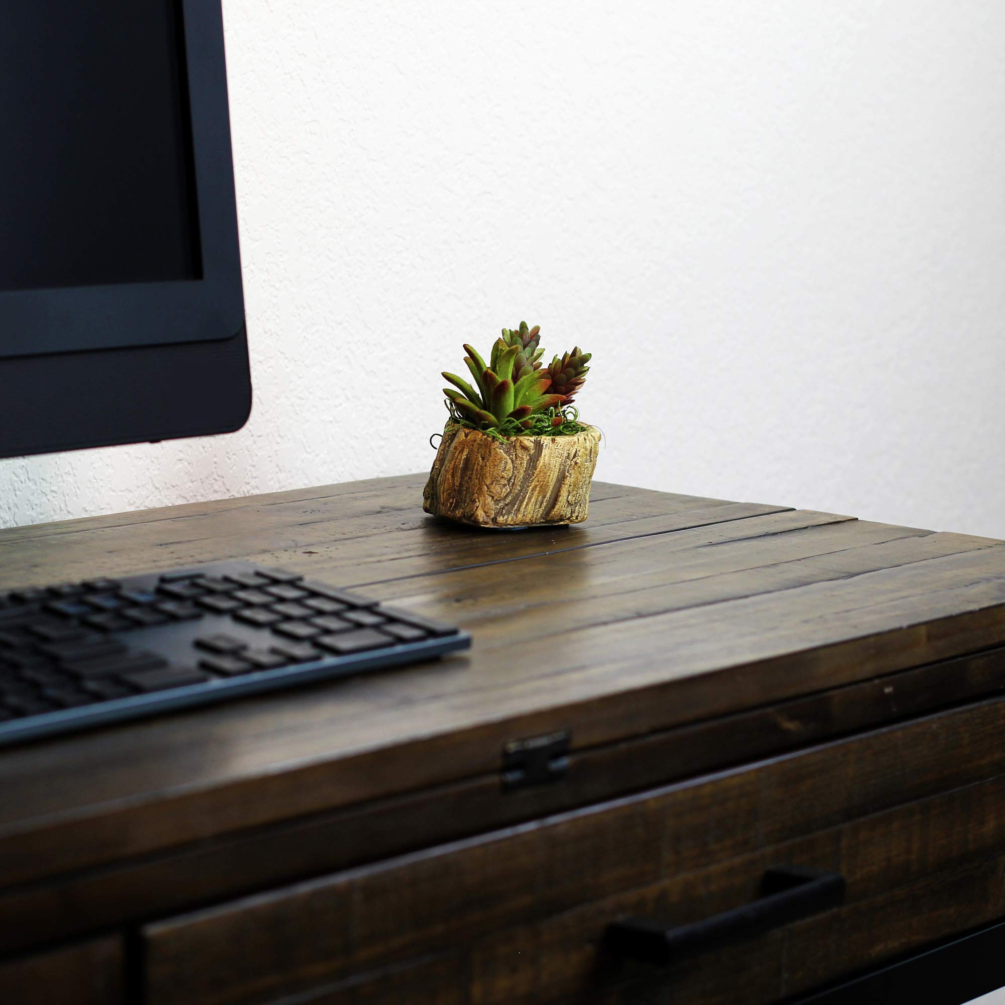 Ceramic Wood Plant Pot - Indoor Wood Planter with Natural Log Design for Succulents, Flowers & Small Plants | Perfect for Home Decor, Office Desk & Gift Giving (Driftwood Stump Style)