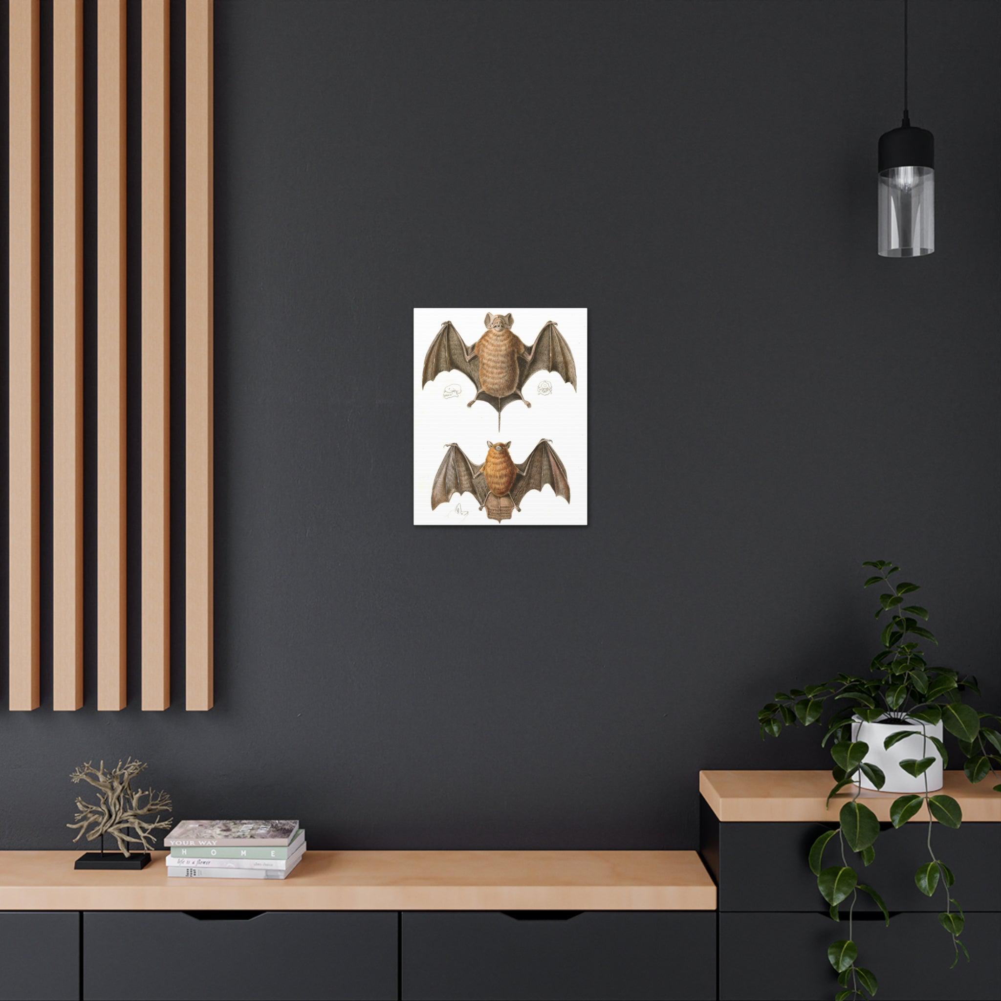 Free Tailed Bats Wall Art - Stunning Wildlife Illustration Canvas Print for Home & Office Decor - Perfect for Nature Lovers, Bat Enthusiasts, and Gothic Interior Design