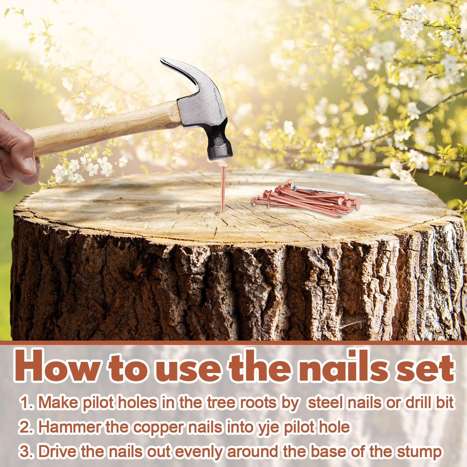 Gisafai 67 Pcs Copper Nails Tree Stump Killer Set - 40 Copper Nails for Killing Trees, Stumps & Roots | 3.5 Inch Stump Removal Spikes with 4 Steel Nails & 2 Drill Bits | Includes Storage Box | Perfect for Yard Maintenance, Landscaping & Tree Removal Projects