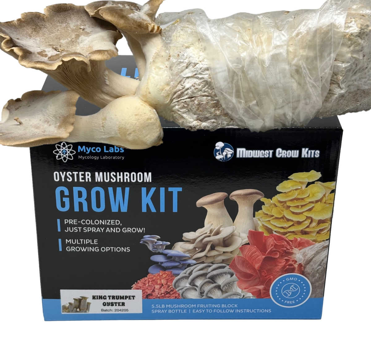 Premium Midwest Grow Kits - 5lb King Trumpet & Oyster Mushroom Growing Kit | Organic Mushroom Cultivation Supplies | Indoor Gardening, Home Farming & Gourmet Cooking