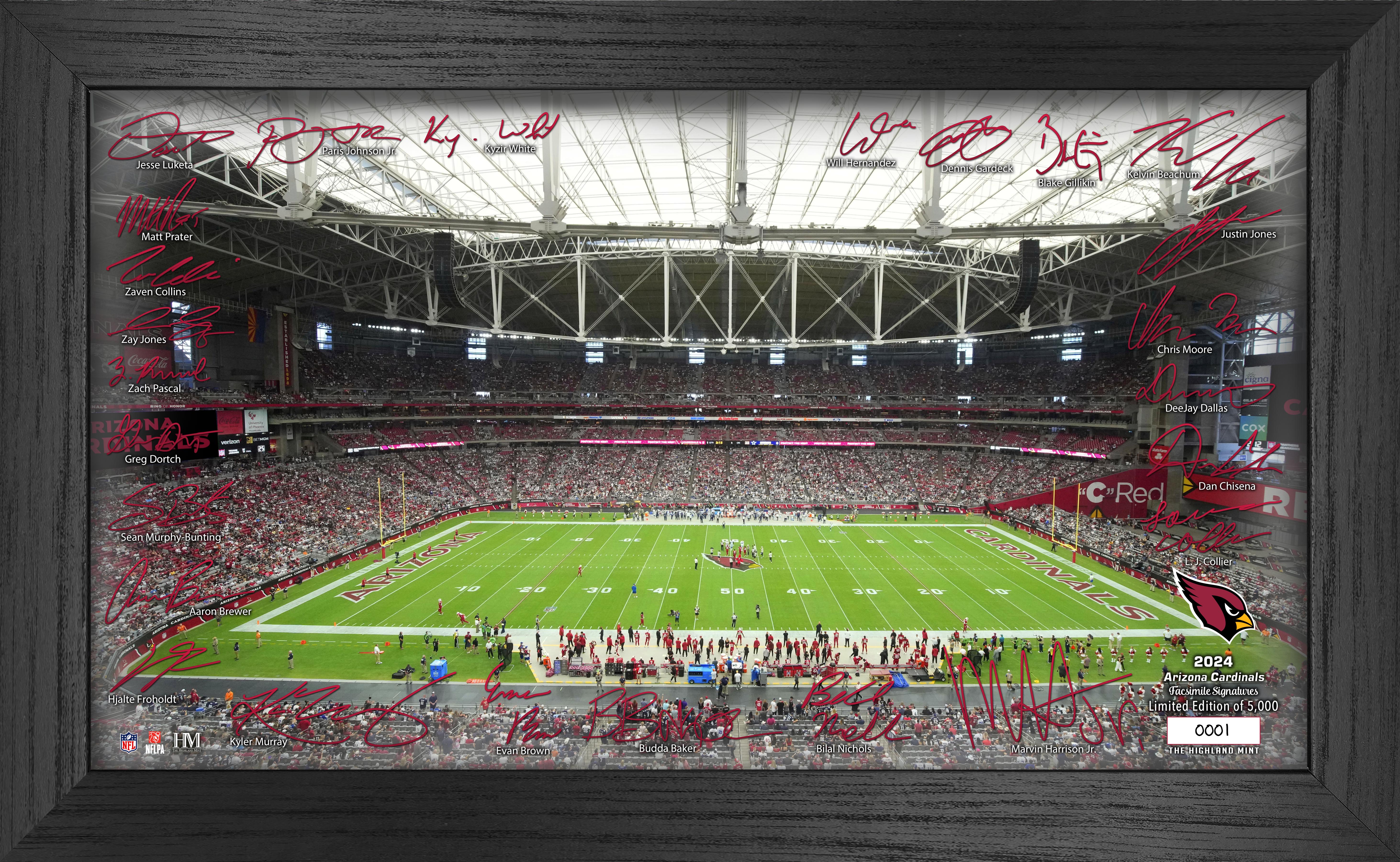 Arizona Cardinals 2024 NFL Signature Gridiron Football Jersey - Official Licensed NFL Apparel for Men, Women & Kids - Perfect for Game Day, Tailgating & Fan Events