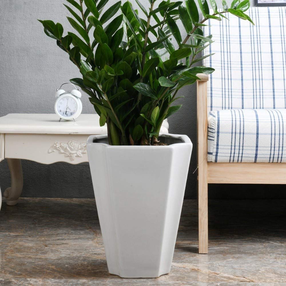 Nordic White Ceramic Flower Pot - Large 34cm Oversized Vase for Hydroponic Plants, Modern Indoor Decor & Outdoor Garden Planter - Perfect for Living Room, Office, and Balcony Greenery