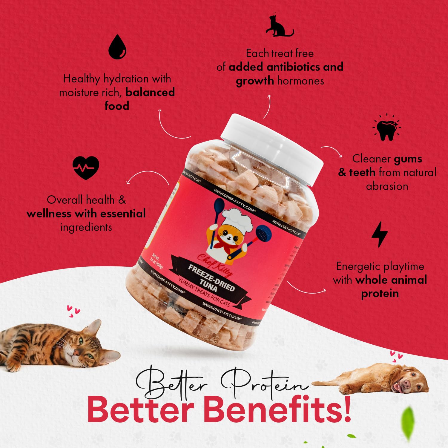 Premium Freeze Dried Tuna Treats for Cats & Dogs - 100% Wild Caught, Single-Ingredient, Grain-Free - Healthy Snack for Indoor Cats, Kittens & Dogs - USA Inspected & Tested - 3.5oz - Perfect for Training Rewards & Mealtime Toppers