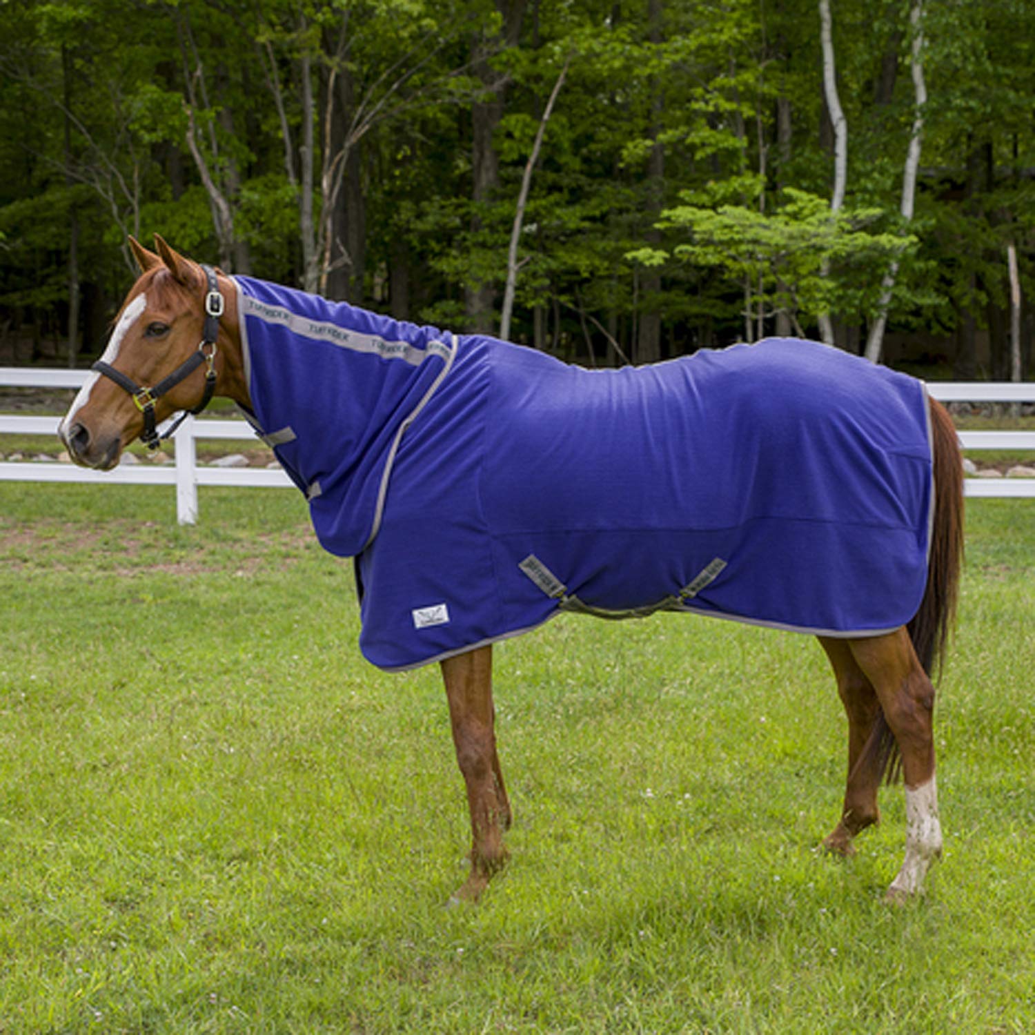 TuffRider Cooler Sheet Combo 81 - Wisteria Purple Horse Cooling Sheet for Hot Weather Riding & Training | Breathable & UV Protection Equestrian Gear