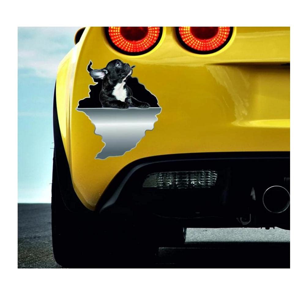 Funny French Bulldog Car Sticker - 15Cm Vinyl Decal for Cars, Laptops & Windows | Cute Frenchie Sticker for Dog Lovers | Perfect Gift for Pet Owners & Car Enthusiasts