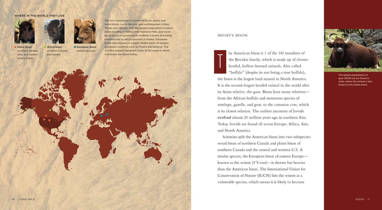 Bison 978-1-60818-077-6 Book - Perfect for Reading, Collecting, and Academic Research