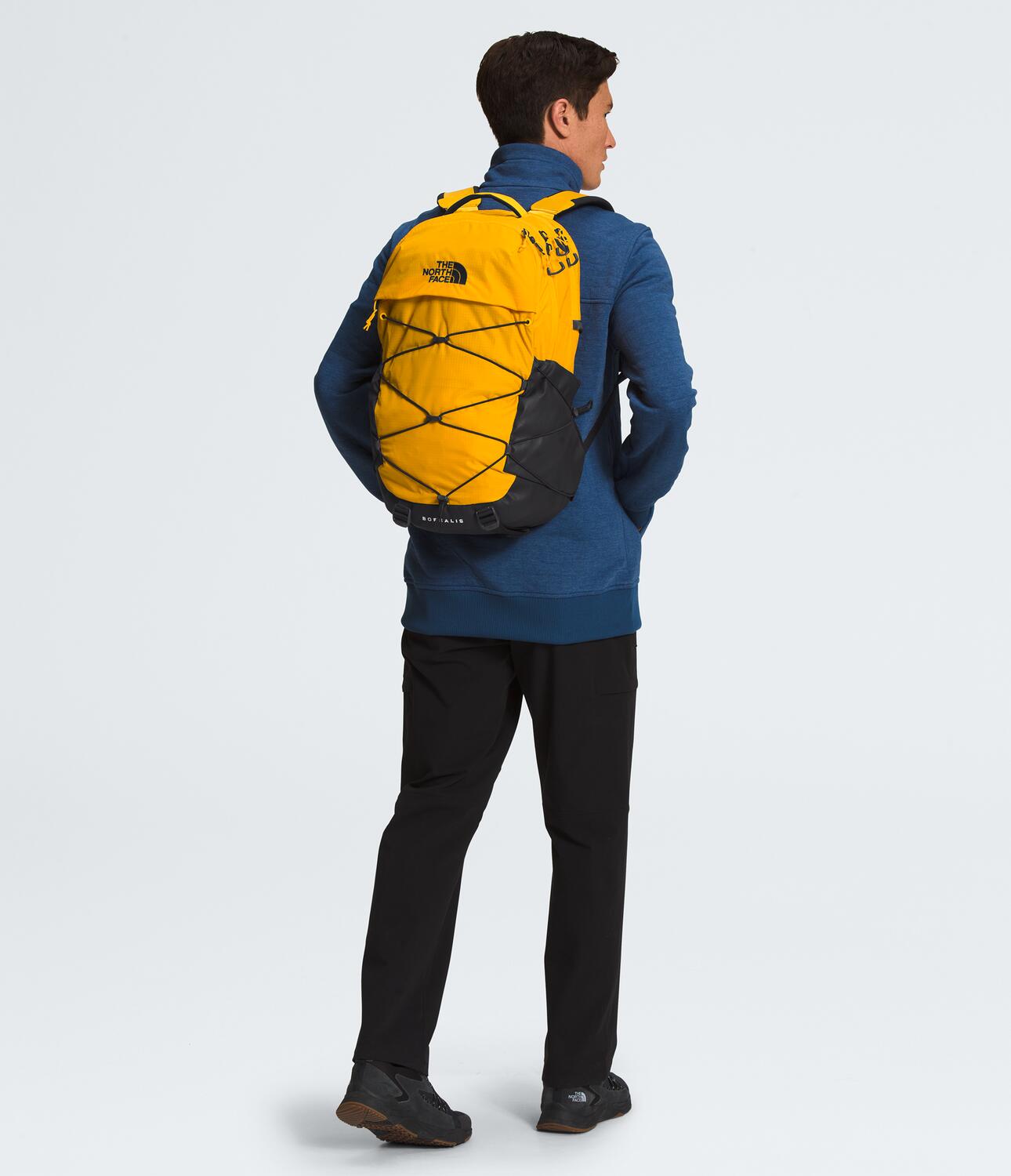 Borealis Backpack NF0A52SE - Durable & Water-Resistant Hiking Backpack for Outdoor Adventures, Travel & Daily Commute